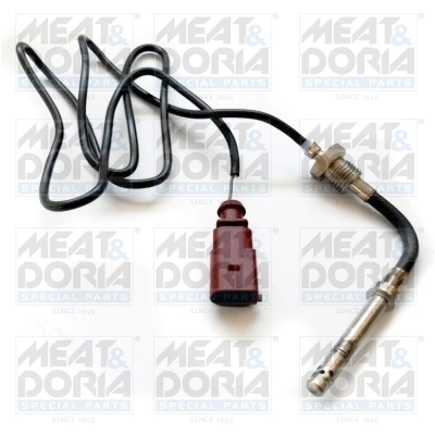 Sensor, exhaust gas temperature